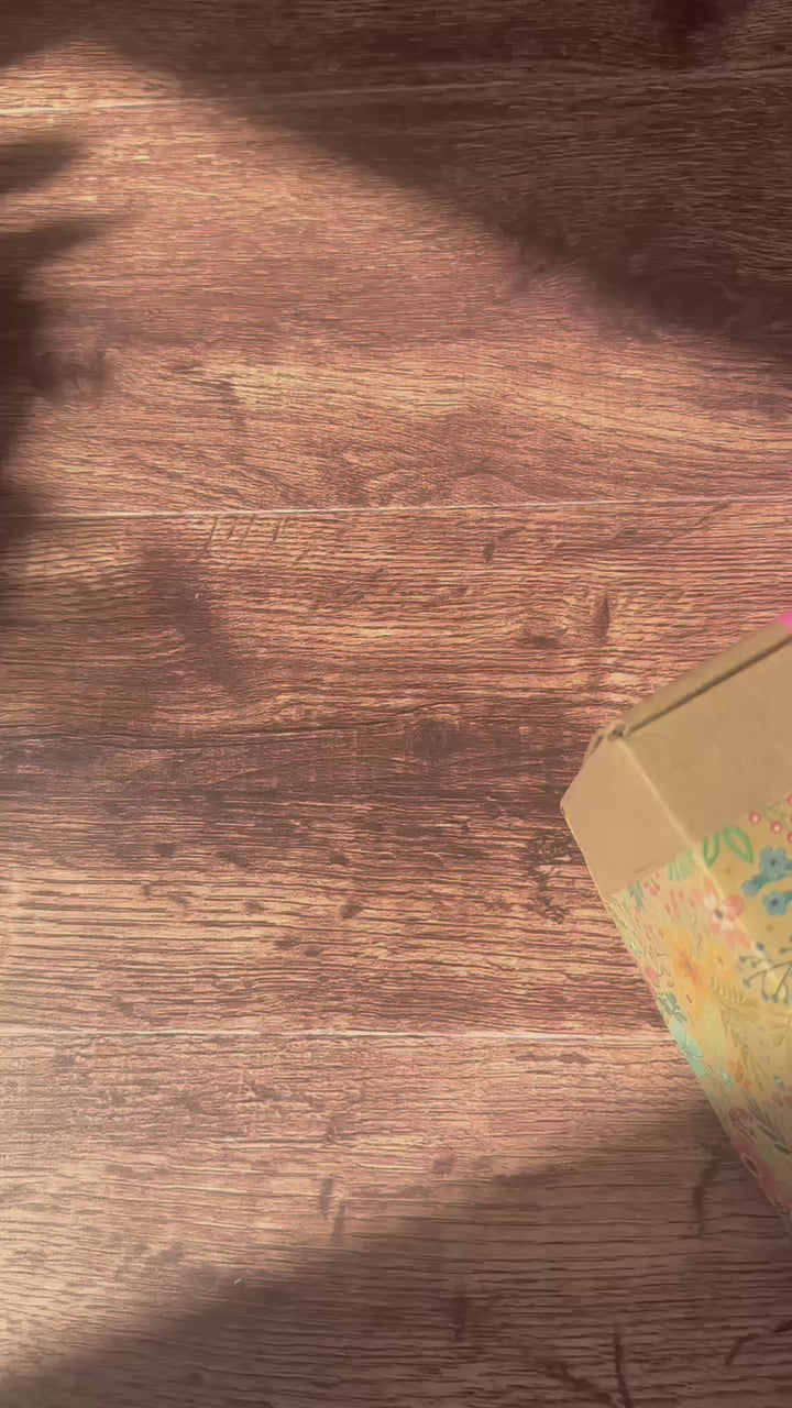Garden Box 